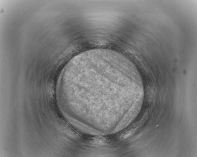 X0000088830612200706281757