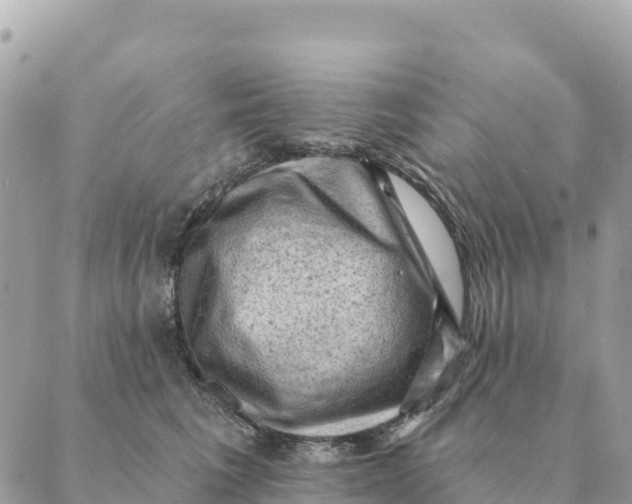 X0000088830613200706281757