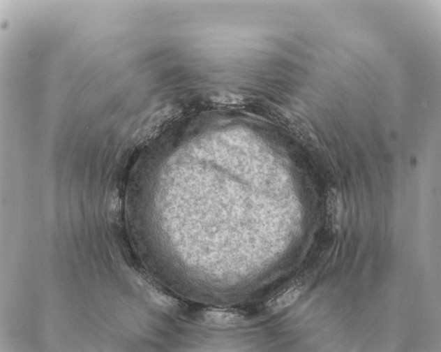 X0000088830614200706281757