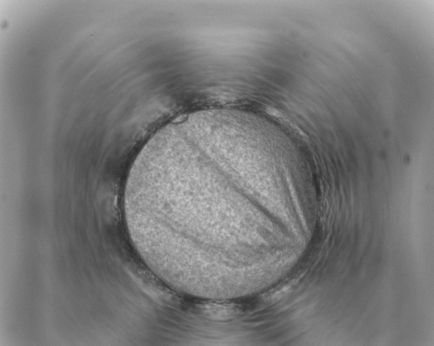 X0000088830615200706281757