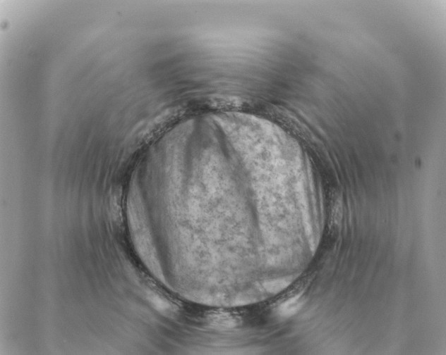 X0000088830616200706281757