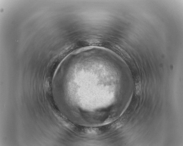 X0000088830618200706281757