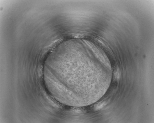 X0000088830620200706281757