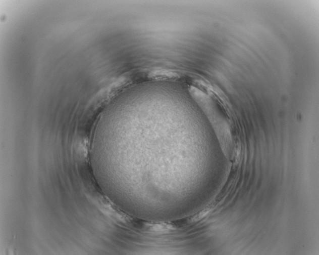 X0000088830621200706281757