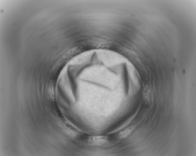 X0000088830622200706281757