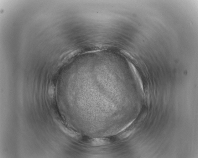 X0000088830623200706281757