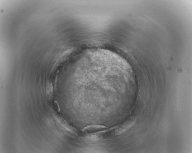 X0000088830624200706281757