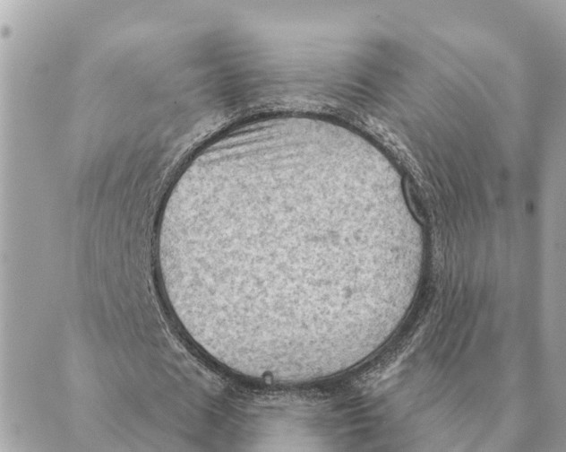 X0000088830625200706281756