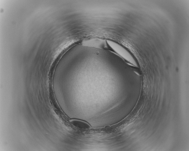 X0000088830626200706281756