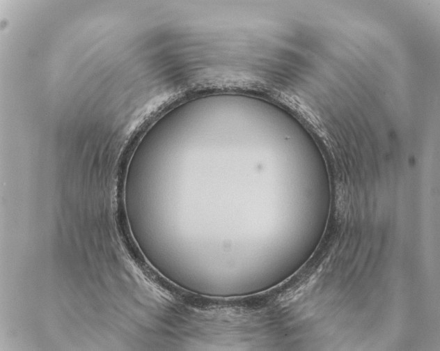 X0000088830629200706281757