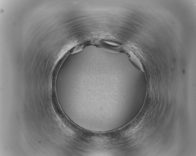 X0000088830630200706281757