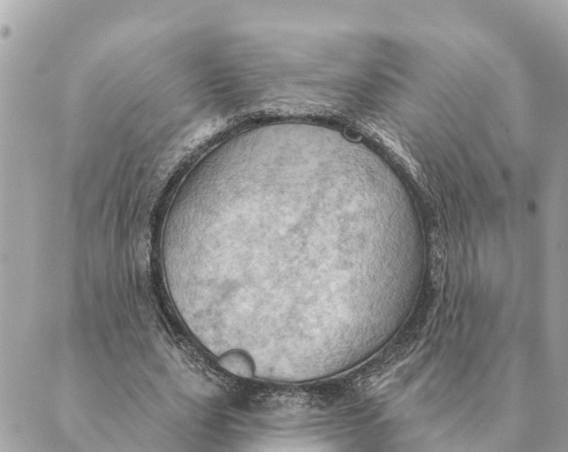 X0000088830631200706281757