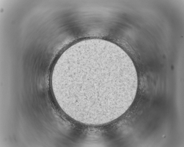 X0000088830632200706281757