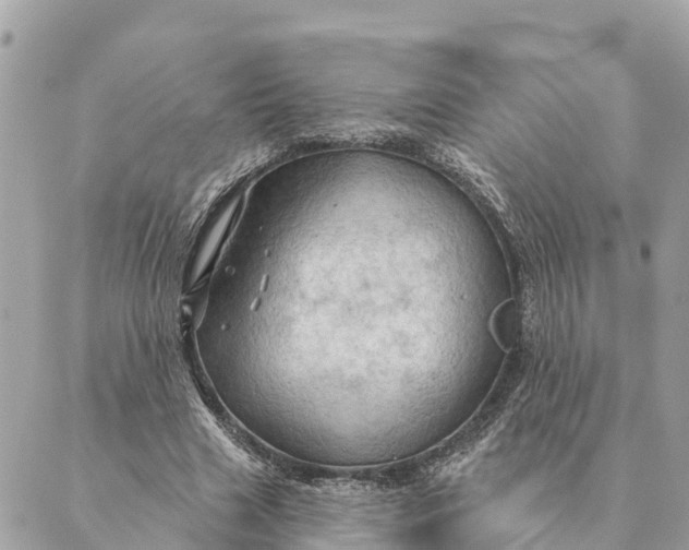 X0000088830633200706281757