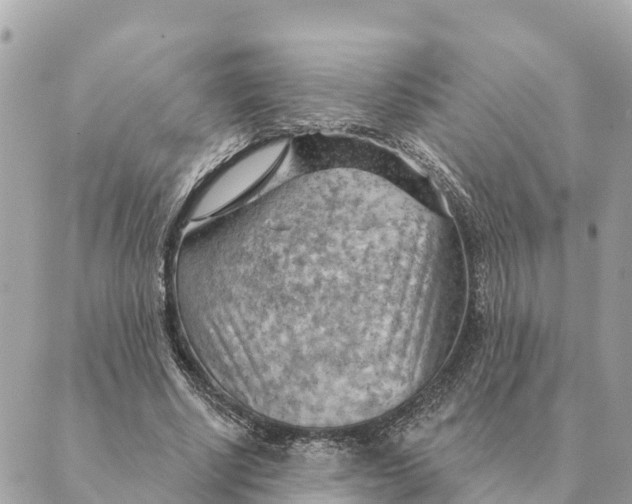 X0000088830634200706281757