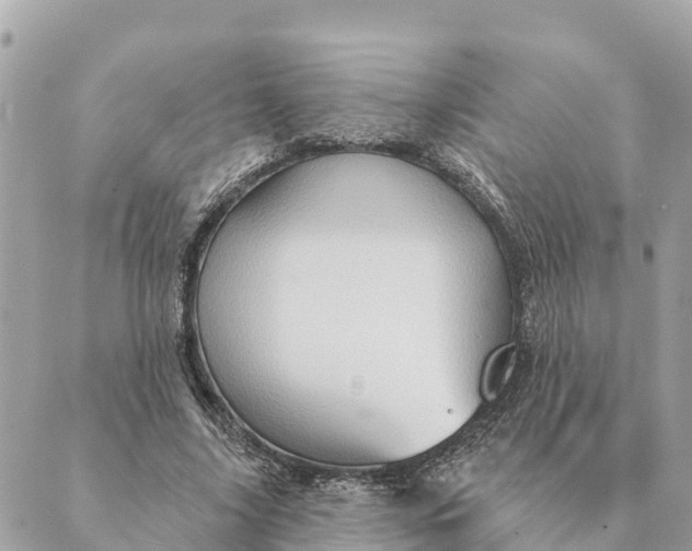 X0000088830635200706281757