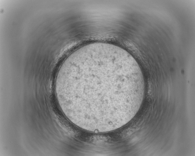 X0000088830636200706281757