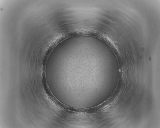 X0000088830637200706281757