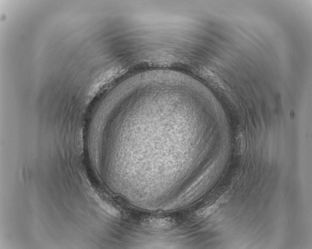 X0000088830638200706281757