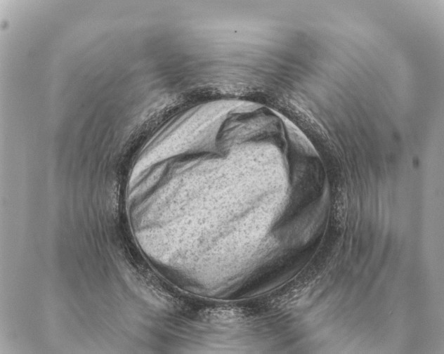 X0000088830639200706281757