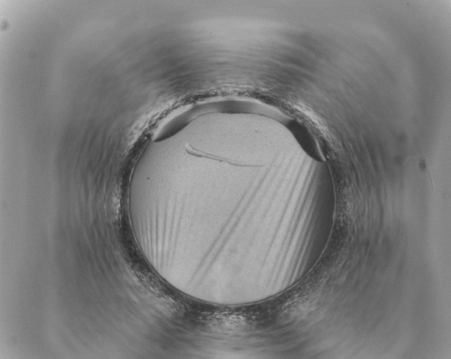 X0000088830640200706281757