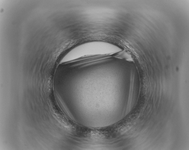 X0000088830641200706281757