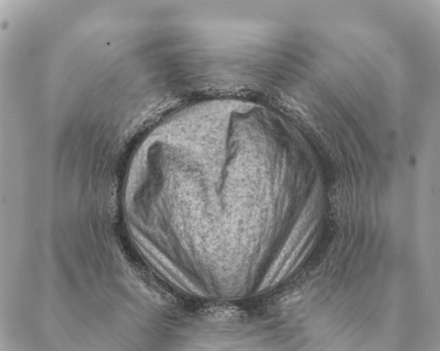 X0000088830642200706281757