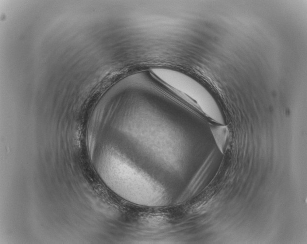 X0000088830643200706281757