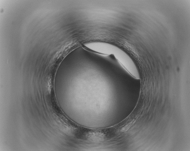 X0000088830644200706281757