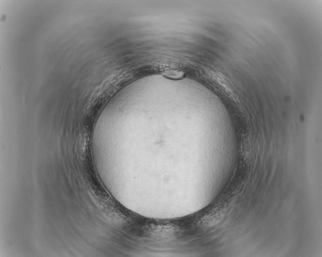 X0000088830645200706281757