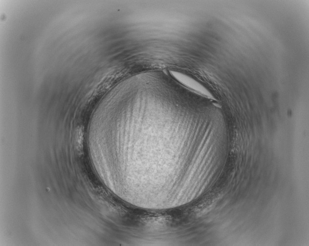 X0000088830646200706281757