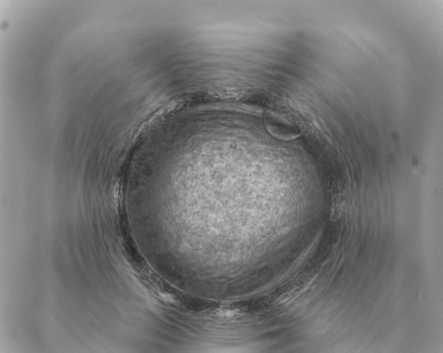 X0000088830647200706281757