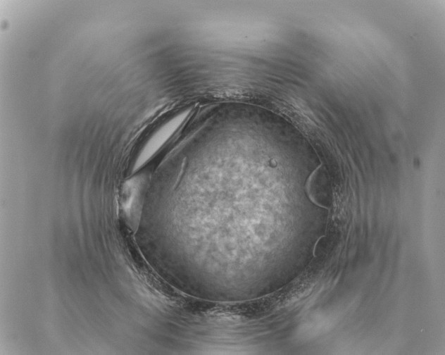 X0000088830648200706281757