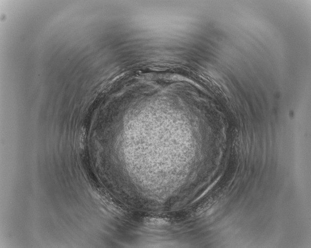 X0000088830649200706281757