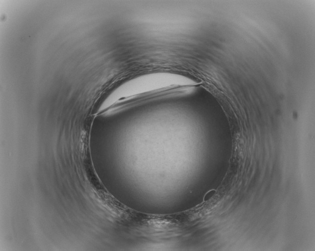 X0000088830650200706281757