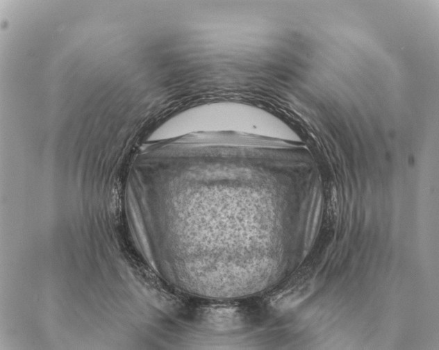 X0000088830651200706281757