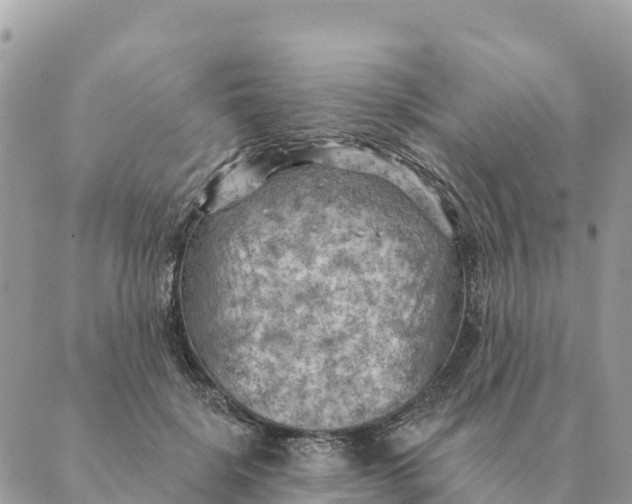 X0000088830652200706281757