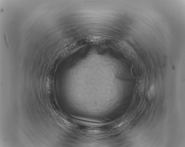 X0000088830653200706281757