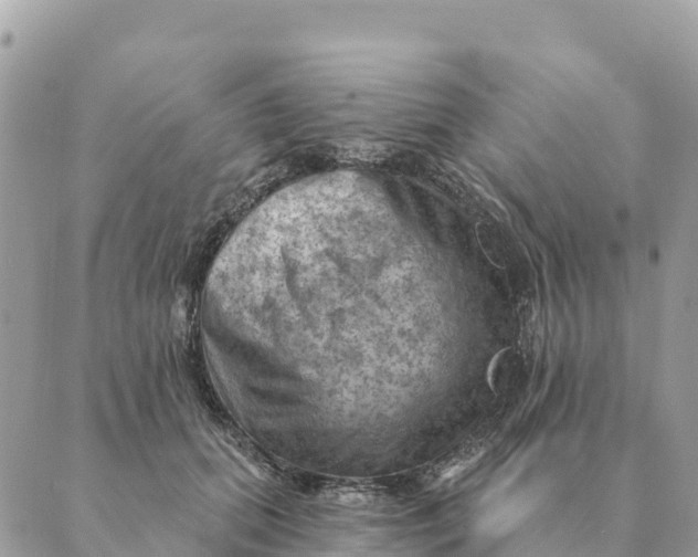 X0000088830655200706281757