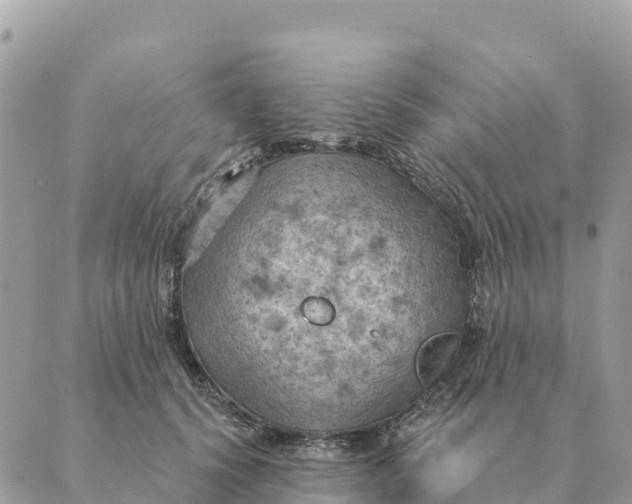 X0000088830656200706281757