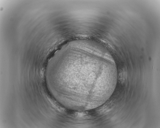 X0000088830662200706281757