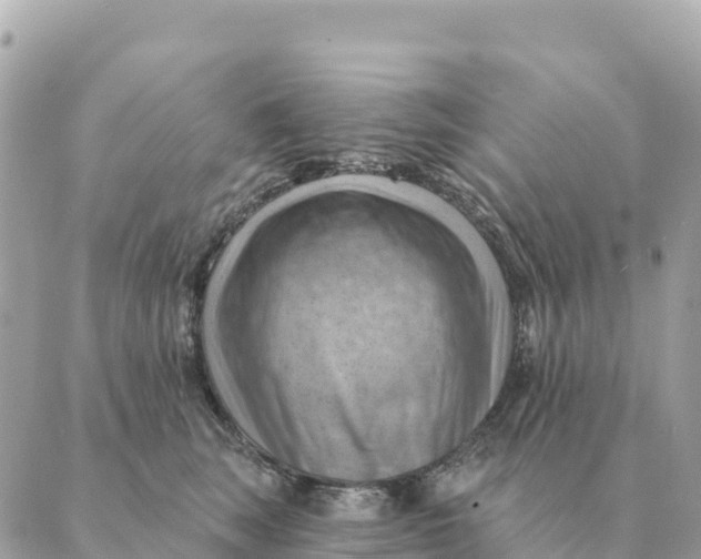 X0000088830663200706281757