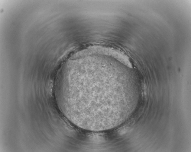 X0000088830664200706281757