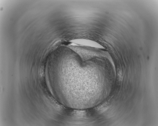 X0000088830665200706281757