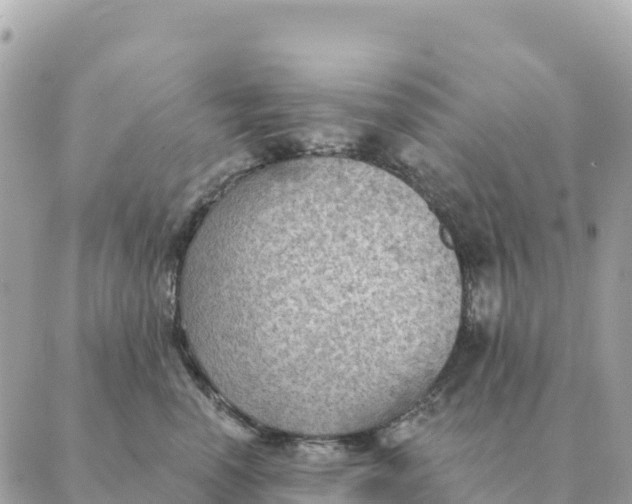 X0000088830666200706281757