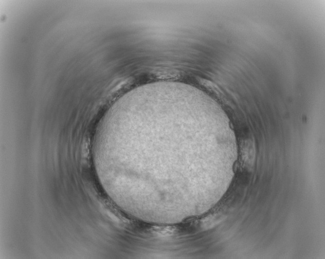 X0000088830667200706281757