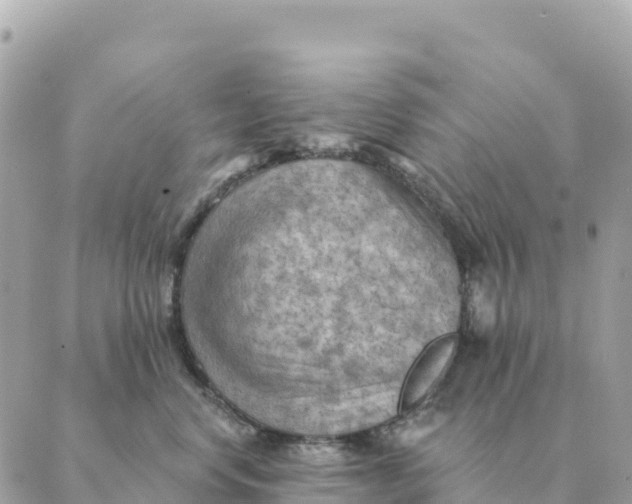 X0000088830668200706281757