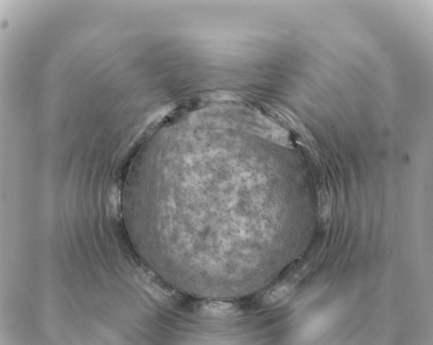 X0000088830669200706281757