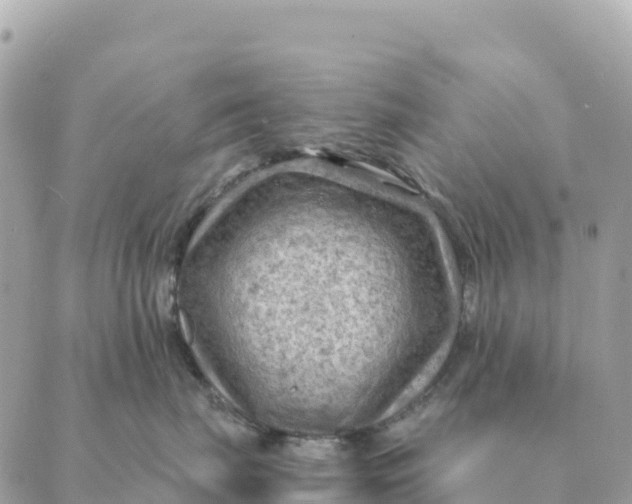 X0000088830671200706281757