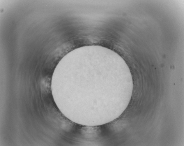 X0000088830672200706281757